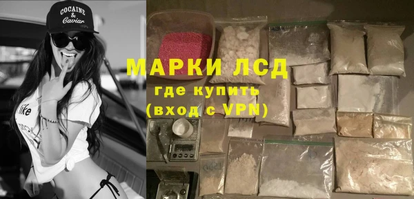 ГАЛЛЮЦИНОГЕННЫЕ ГРИБЫ Чердынь
