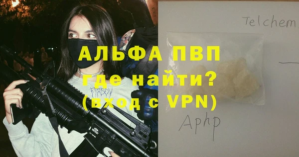 ПСИЛОЦИБИНОВЫЕ ГРИБЫ Чекалин